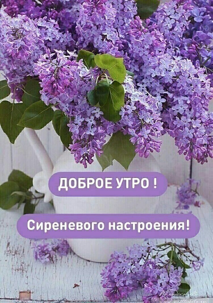 ------------------