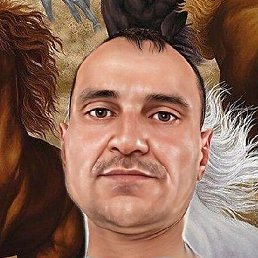 �������, ������, 50 ���