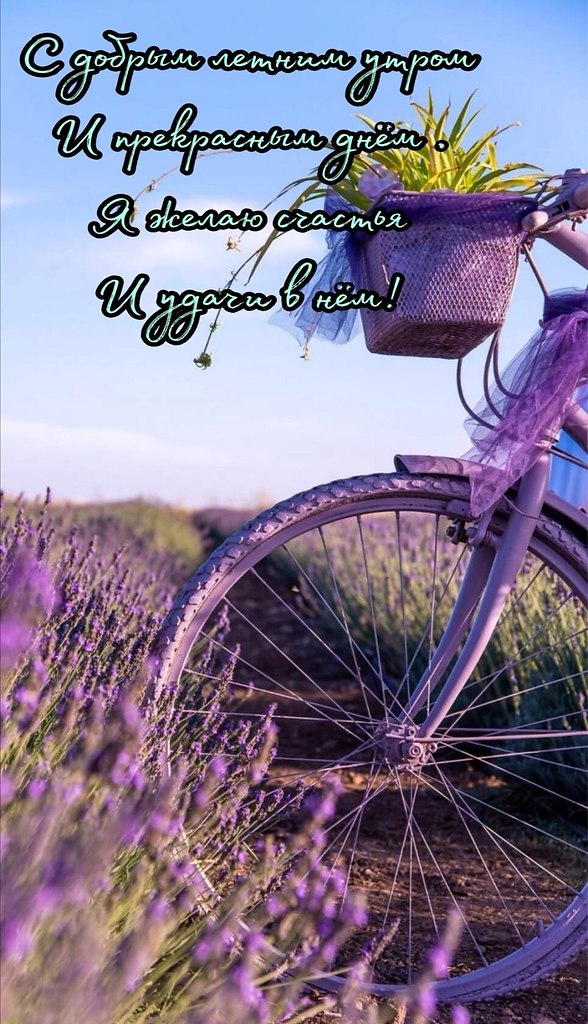~ ~ ~ ~ ~ ~ ~ ~ ~ ~ ~ ~ ~ ~ ~