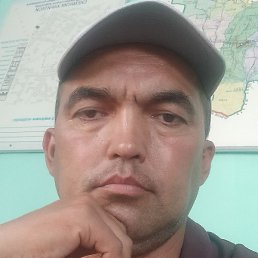 �������, �������, 46 ���