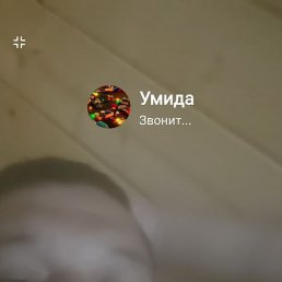 ����, ������, 48 ���