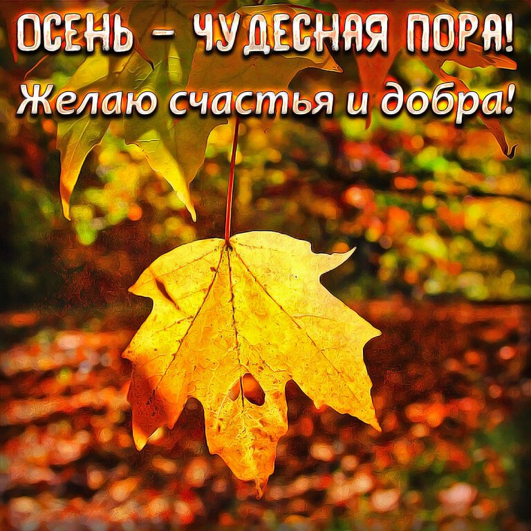   - 24  2023  10:49