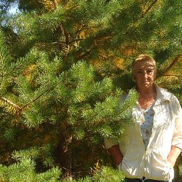 ���� �����, ������ - ��������� 10 �������� 2023