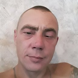 ������, �����-���������, 40 ���