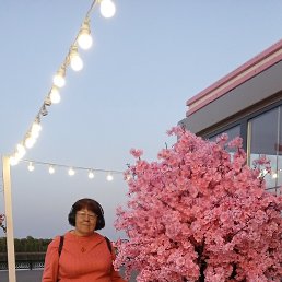 ���� ����, ������, 57 ��� - ��������� 11 ���� 2023