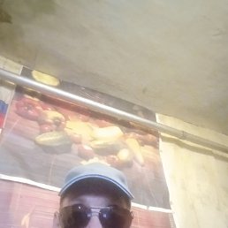 , , 54 