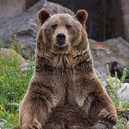 �������, 48 ���, ��������