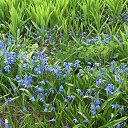 ���� ������, �����, 58 ��� - ��������� 11 ��� 2023 � ������ ���� ����������