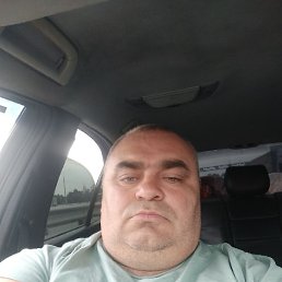 �����, ������, 48 ���