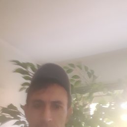 ���� ������, ������, 52 ���� - ��������� 5 ������� 2023