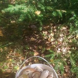 ������, �������, 58 ���