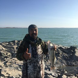 ���� ����, ���������, 48 ��� - ��������� 20 �������� 2023