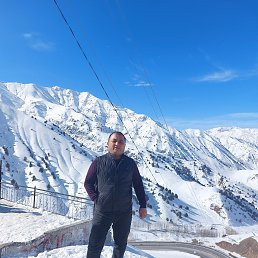 ���� ����, ������, 41 ��� - ��������� 11 ����� 2023