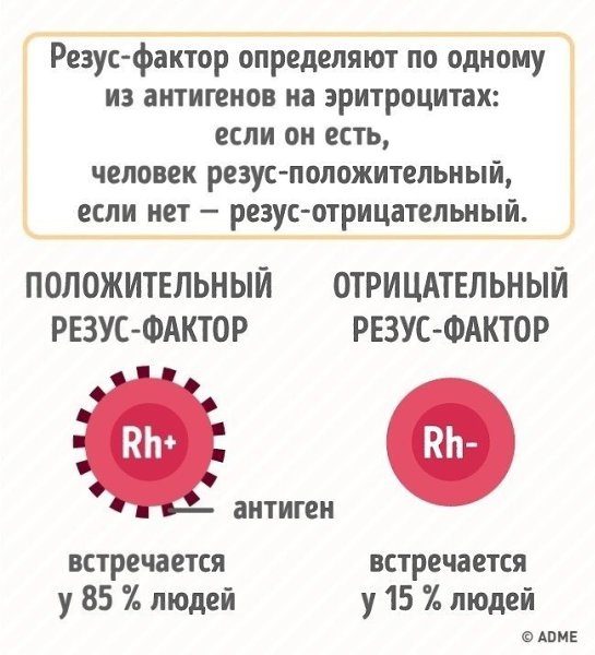 Вот зачем нужно знать группу крови.И тогда вы сможете вовремя спасти людей - 3