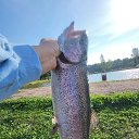 ���� �������, �����-���������, 49 ��� - ��������� 11 ������� 2023