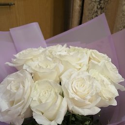 �������, �����