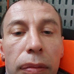 ������, ����������-���������, 41 ���