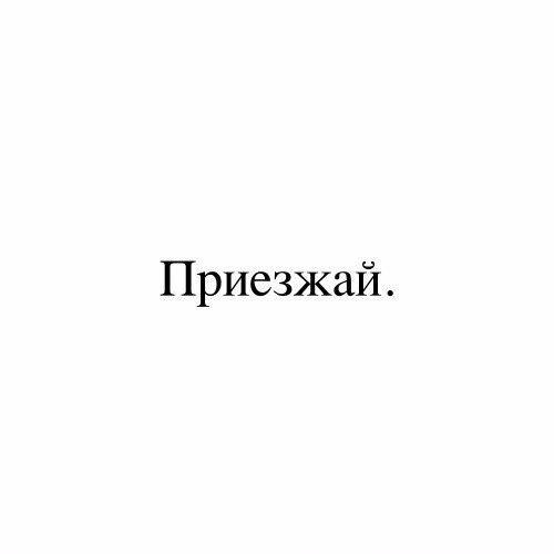    - 2  2023  12:49