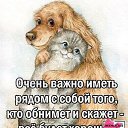   , -, 46  -  21  2023    