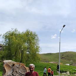 �����, ������, 48 ���