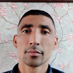 �����, �������, 38 ���