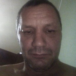 �������, ������, 49 ���