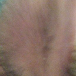 ���� ������, ������, 53 ���� - ��������� 10 ���� 2023