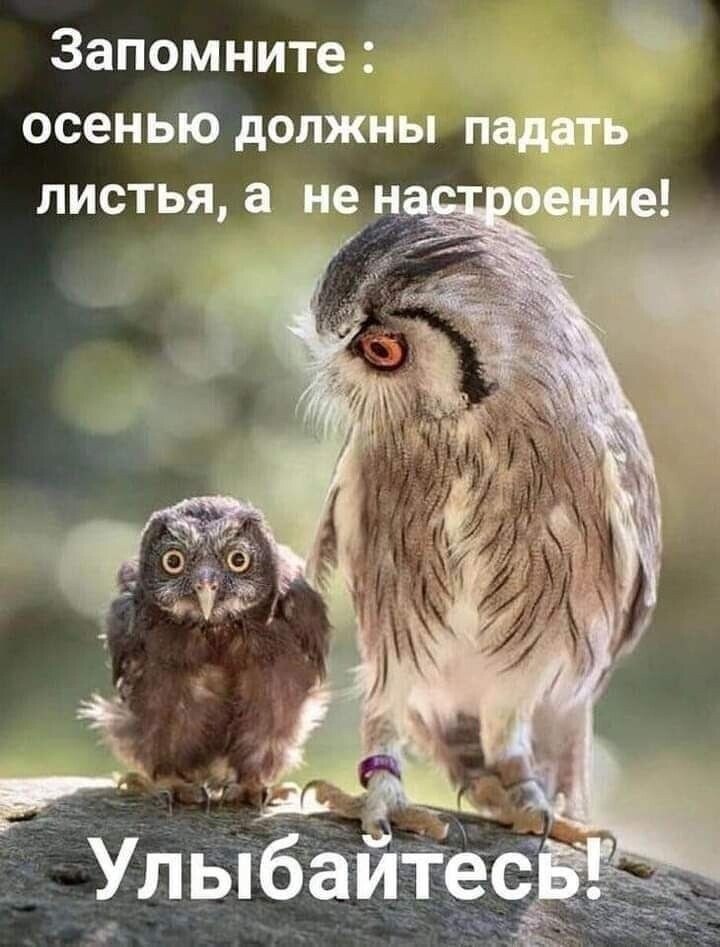 ***Victoria Viktorovna*** - 19  2023  04:49