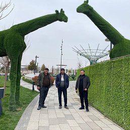 ������, �����, 46 ���