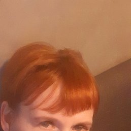 ���� ����, �����������, 51 ��� - ��������� 29 ���� 2023