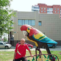 ��������, ������, 54 ����