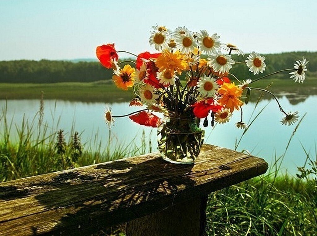 Вопли дня. Яркого летнего дня. Летнее утро. Июнь природа. Летние цветы.