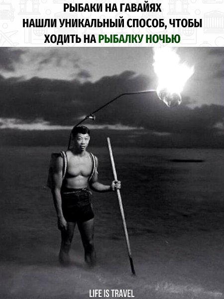 А вы знали, что официальным драгоценным камнем Гавайев является чёрный коралл?