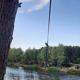 ����, ������