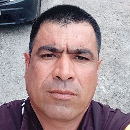 ������, ������, 43 ����