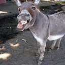 ���� ����, ����������, 50 ��� - ��������� 24 ������� 2023 � ������ ���� ����������