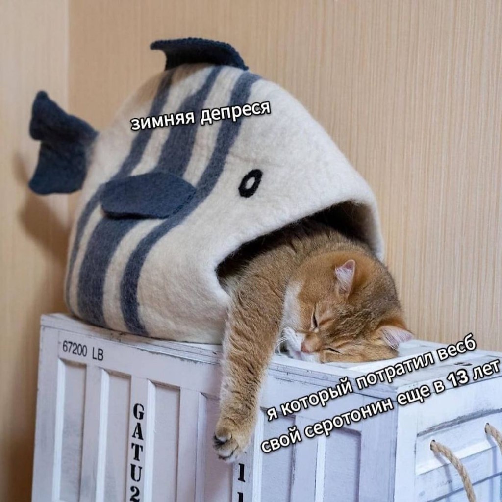    - 10  2023  09:28