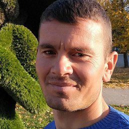 �������, �����, 38 ���