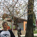 ���� �������, ������, 55 ��� - ��������� 17 ��� 2023