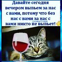 ���� �����., �����-���������, 34 ���� - ��������� 27 ������� 2023 � ������ ���� ����������