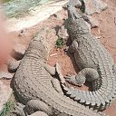 ���� Wendy, �������, 35 ��� - ��������� 24 ������� 2023 � ������ ���� ����������