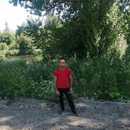 ������, �����-���������, 50 ���