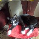 ���� �������, ����-���, 45 ��� - ��������� 10 ���� 2023 � ������ ���� ����������