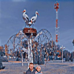 �����, ������, 37 ���