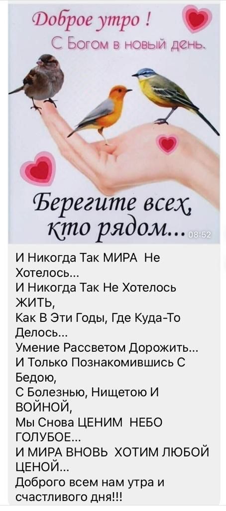 ������ - 31 ����� 2023 � 09:02