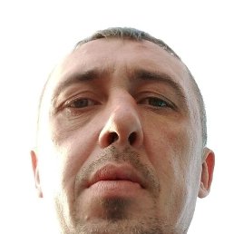 ����, �����������, 41 ���