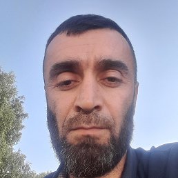 , , 44 