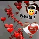 ���� ����, �������, 54 ���� - ��������� 27 ��� 2023 � ������ ���� ����������