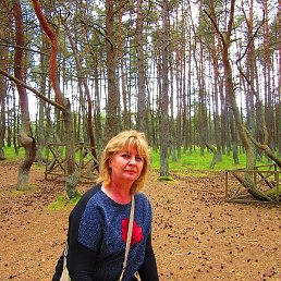 � � � � � �, ���������, 60 ���