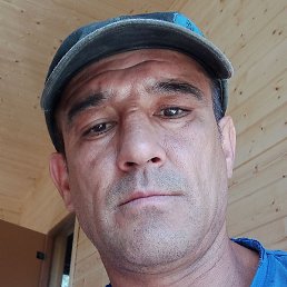 ����, ������, 44 ����